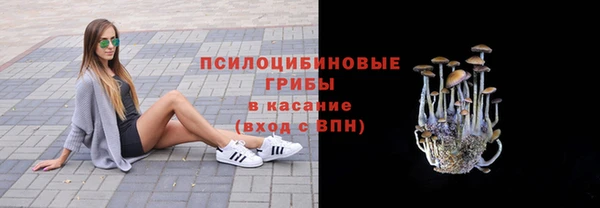 марки lsd Белокуриха