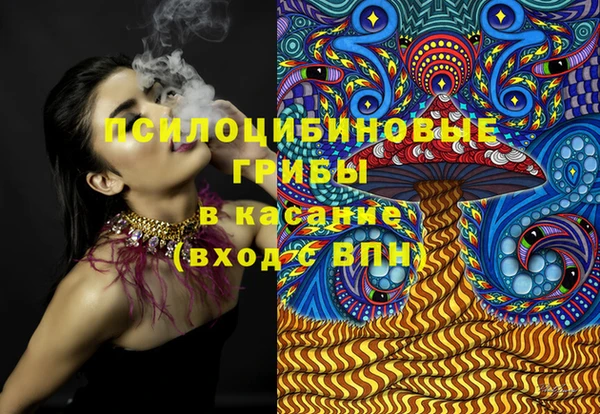 марки lsd Белокуриха