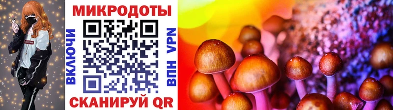 Псилоцибиновые грибы Psilocybine cubensis  цены наркотик  Славгород 